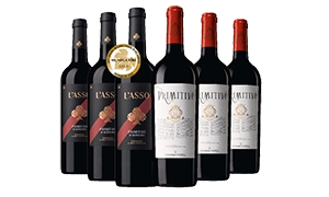 Primitivo Favoriten Paket 