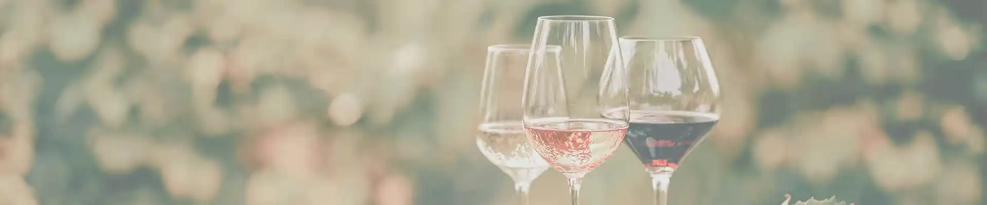 Drei verschiedene Weingläser: Einer gefüllt mit Weisswein, eines mit Rosé und eines mit Rotwein.