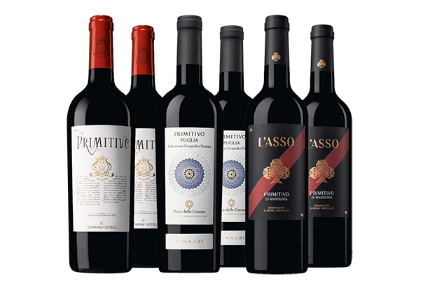 Primitivo Entdecker Paket K-Tipp Gesundheit 10.25 